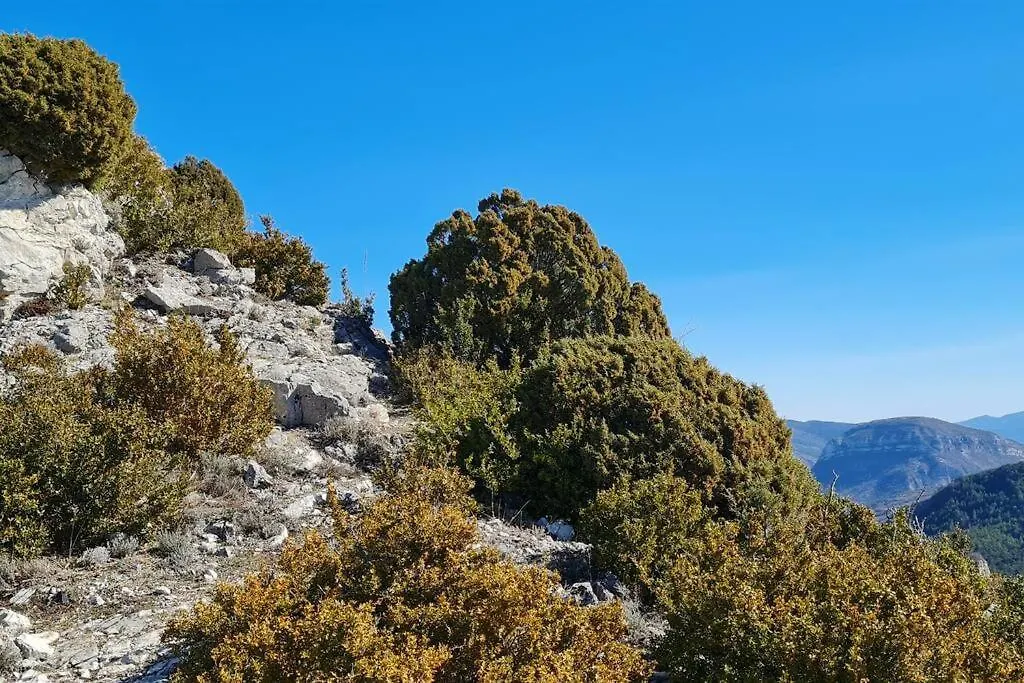 Appartement Rez-De-Jardin Jas Des Baronnies Curnier France